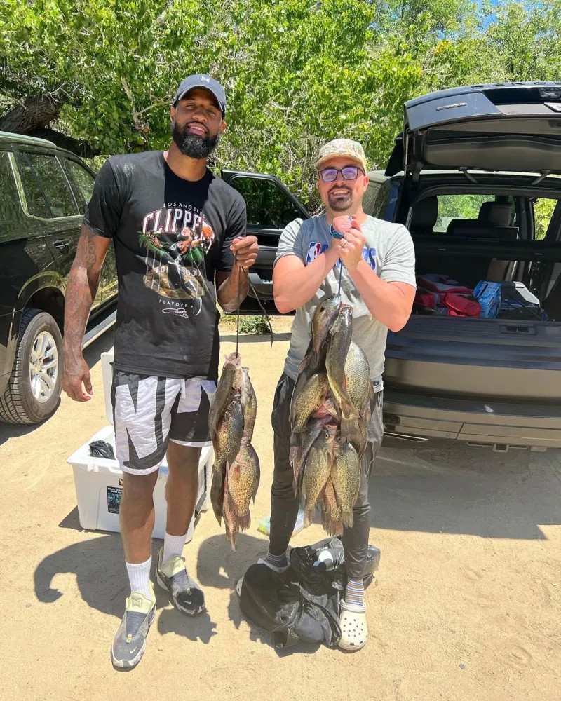 现象并非偶 现象并非偶